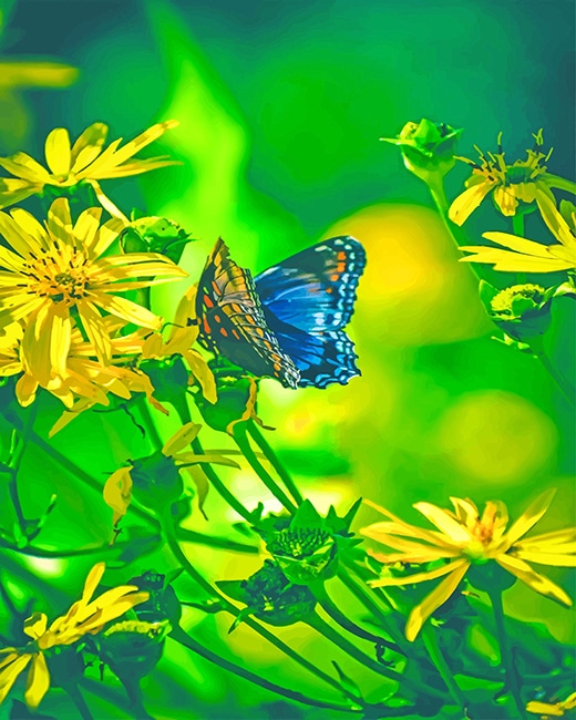 Butterfly Enjoying Nature Paint by numbers