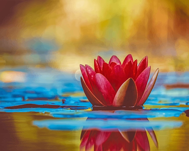 Lotus In The Water Paint By numbers