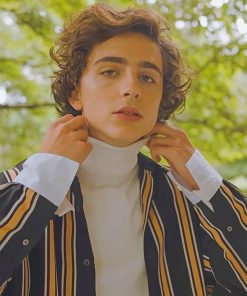 Classy Timothee Chalamet Paint by numbers