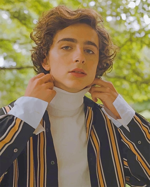 Classy Timothee Chalamet Paint by numbers