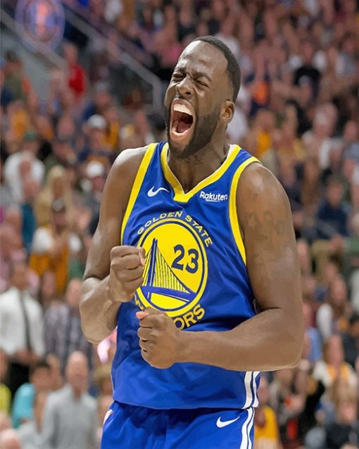 Draymond Green adult paint by number