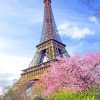 Eiffel Tower in spring adult paint by numbers