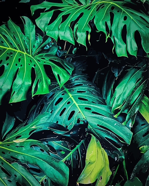 False Philodendron Paint by number