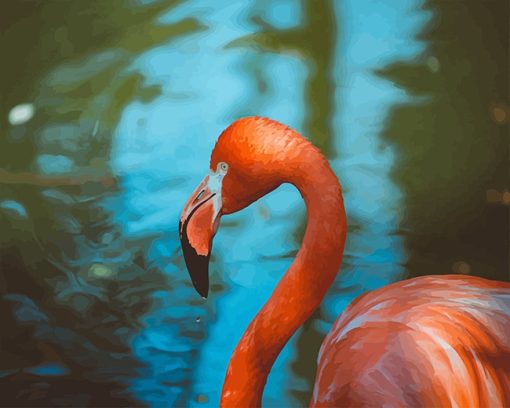 Flamingo Bird Paint by number