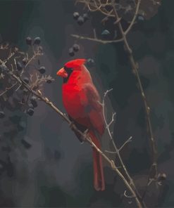Red Cardina bird adult paint by numbers