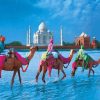 Taj Mahal Incredible India adult paint by numbers