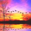 Waterfowl sunset adult paint by numbers