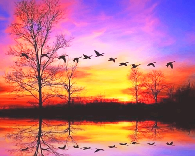 Waterfowl sunset adult paint by numbers