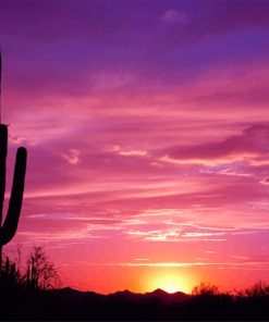 Beautiful Cactus Sunset paint by number
