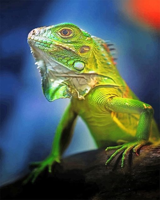 Beautiful Green Iguana adult paint by number
