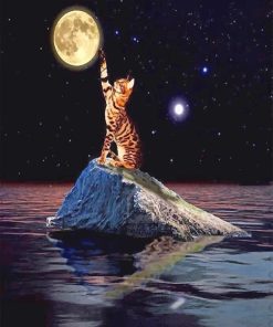 Cat Touching Moon paint by number