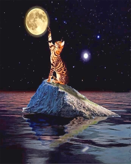 Cat Touching Moon paint by number