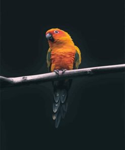 colorful parrot adult paint by number