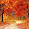 Fall Red Forest paint by number