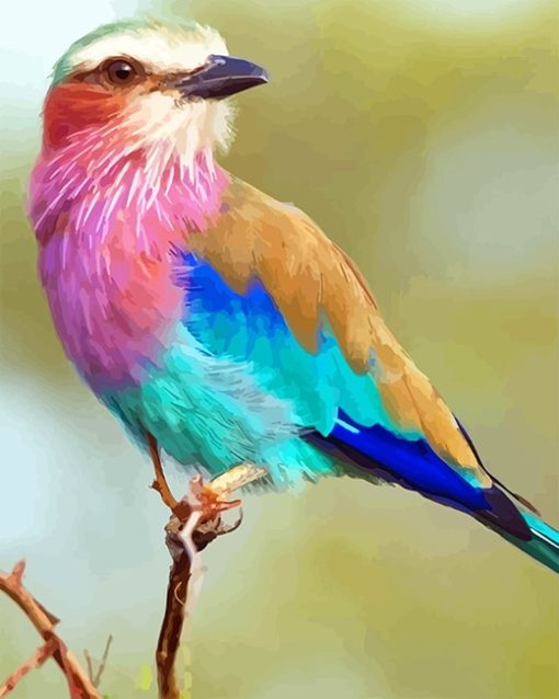 Lilac-breasted Roller paint by number