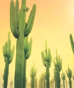 Sunny Day Cactus paint by number