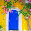 Blue Door With Flowers Paint by numbers