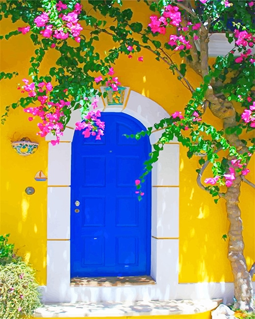 Blue Door With Flowers Paint by numbers