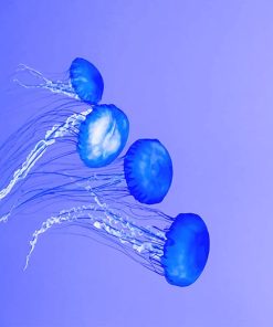 Blue Jellyfish Paint By Numbers