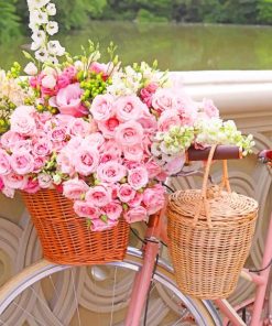 Bike And Pink Flowers paint by numbers