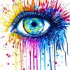 Colorful Splash Eye adult paint by numbers