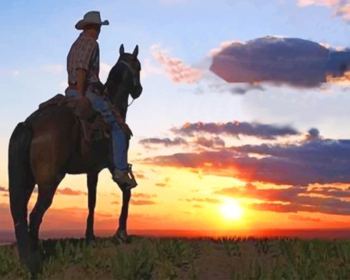 Cowboy into sunset adult paint by numbers
