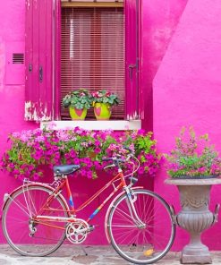 Cute Pink Wall Bike And Flowers paint By Numbers