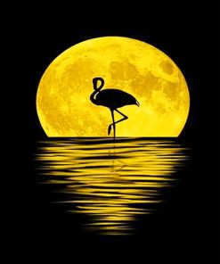 Flamingo Moon Silhouette Paint By Numbers