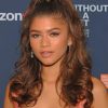 Gorgeous Zendaya Red Carpet Paint By Numbers