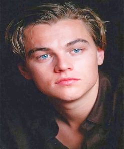 Handsome young Leonardo Dicaprio adult paint by numbers