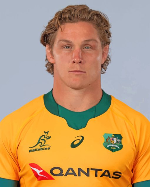 Michael Hooper player paint by number