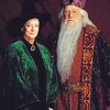 Minerva McGonagall Albus Dumbledore Paint By Numbers