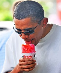 Obama eating ice cream adult paint by numbers