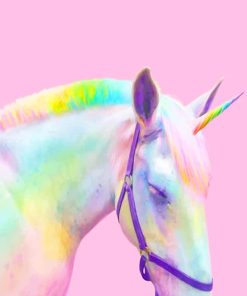 Rainbow Horse paint by number