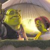 Shrek And His Wife Fiona adult paint by numbers