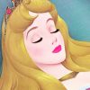 Sleeping Beauty adult paint by numbers