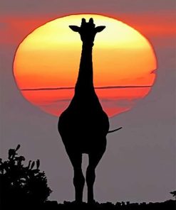 Sunset giraffe silhouette adult paint by numbers