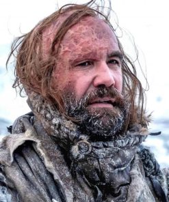 The Hound Sandor Clegane adult paint by numbers