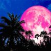 the full pink moon paint by numbers