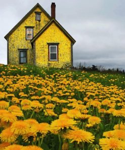 Aesthetic Yellow House paint by number