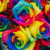Beautiful Rainbow Flowers paint by number