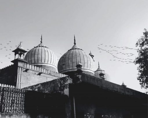 Black And White Mosque Photography paint by number