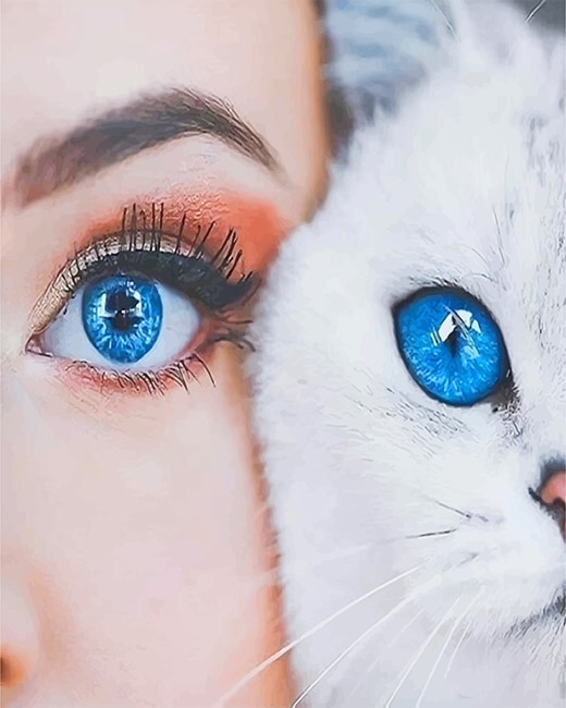Cat Woman Beautiful Blue Eyes paint by number