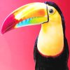 Colorful Toucan Paint By Numbers