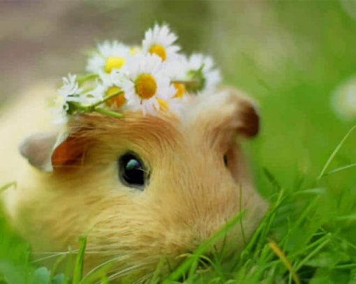 Cute Hamster With Flower Crown Paint By Numbers