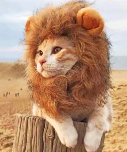 Cute Lion Cat Paint By Numbers