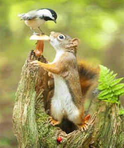 Cute Squirrel And Bird paint By Numbers