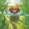 Dog In The Water Paint By numbers