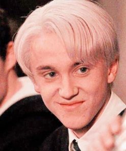 Draco Malfoy paint By numbers