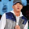 Eminem the american rapper paint by numbers